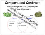 compare and contrast poster