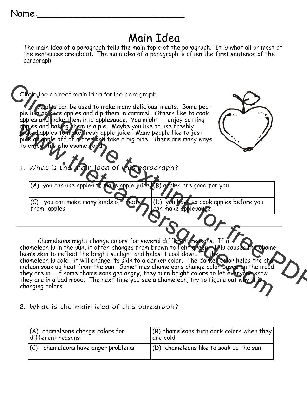 Main Idea Worksheets from The Teacher's Guide