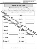 singular and plural nouns worksheet